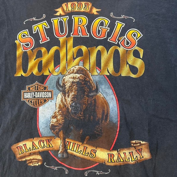 y2k vintage VINTAGE 1993 HARLEY DAVIDSON STURGIS BADLANDS BLACK HILL RALLY - Picture 3 of 8